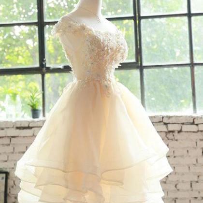 Champagne Lace Tulle Short Prom Dress,homecoming..