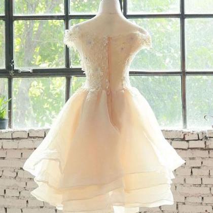 Champagne Lace Tulle Cute Homecoming Dress