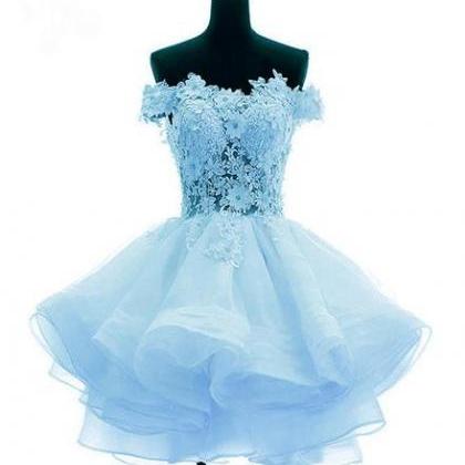 Light Blue Organza With Flower And Lace Short..