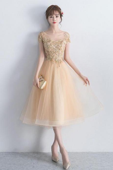 Champagne Round Neck Tulle Lace Short Prom Dress,tulle Homecoming Dress